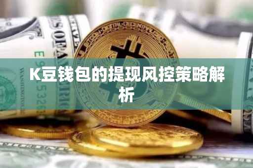 K豆钱包的提现风控策略解析