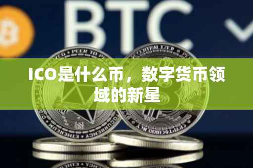 ICO是什么币，数字货币领域的新星