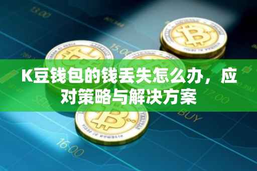 K豆钱包的钱丢失怎么办，应对策略与解决方案