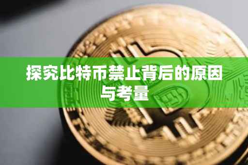 探究比特币禁止背后的原因与考量