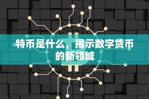 特币是什么，揭示数字货币的新领域