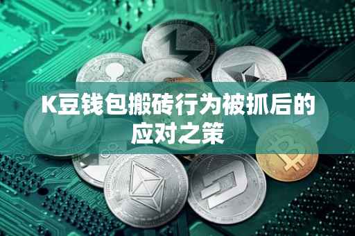 K豆钱包搬砖行为被抓后的应对之策