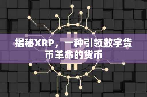 揭秘XRP，一种引领数字货币革命的货币