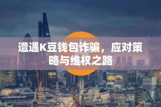 遭遇K豆钱包诈骗，应对策略与维权之路