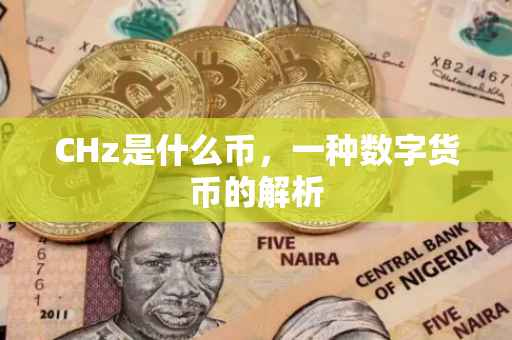 CHz是什么币，一种数字货币的解析