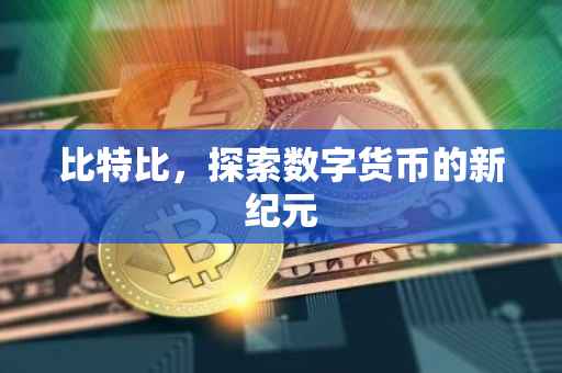 比特比，探索数字货币的新纪元