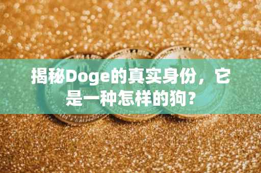 揭秘Doge的真实身份，它是一种怎样的狗？