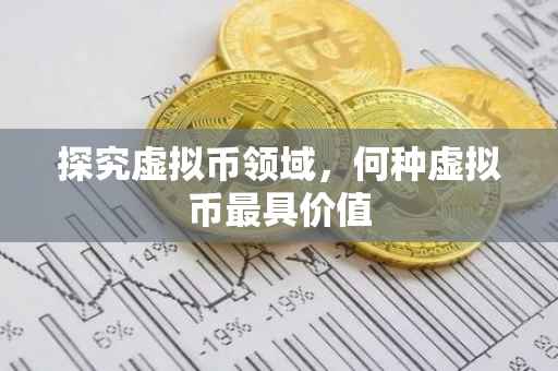 探究虚拟币领域，何种虚拟币最具价值