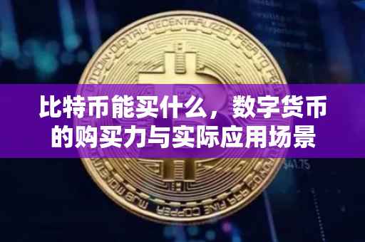 比特币能买什么，数字货币的购买力与实际应用场景