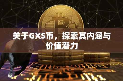 关于GXS币，探索其内涵与价值潜力
