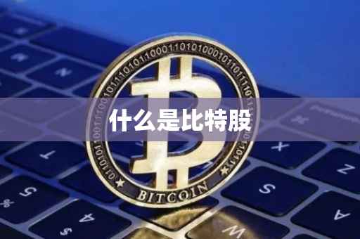 什么是比特股