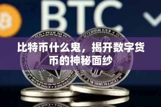 比特币什么鬼，揭开数字货币的神秘面纱