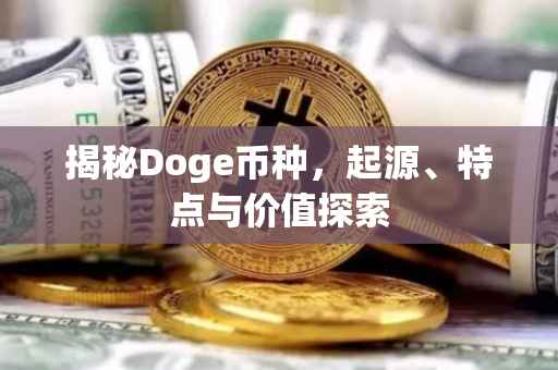 揭秘Doge币种，起源、特点与价值探索