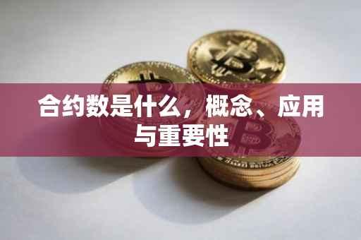 合约数是什么，概念、应用与重要性