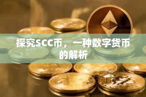 探究SCC币，一种数字货币的解析