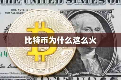 比特币为什么这么火