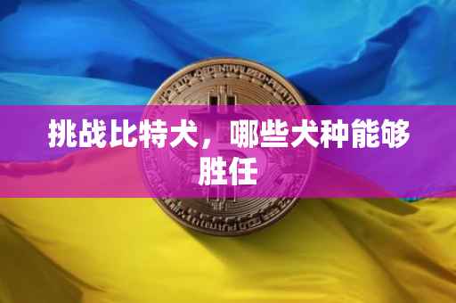 挑战比特犬，哪些犬种能够胜任