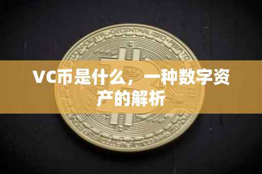 VC币是什么，一种数字资产的解析