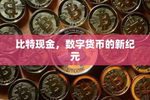 比特现金，数字货币的新纪元