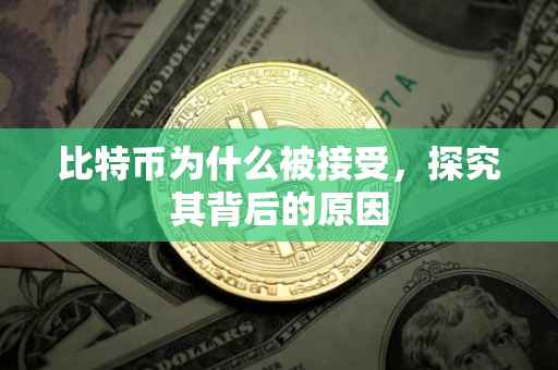 比特币为什么被接受，探究其背后的原因