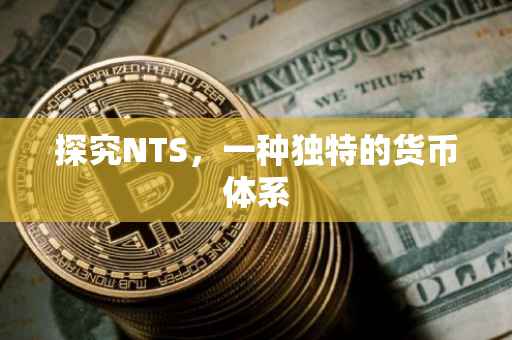探究NTS，一种独特的货币体系