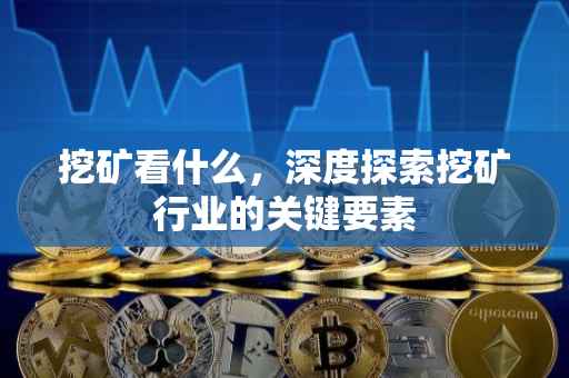 挖矿看什么，深度探索挖矿行业的关键要素