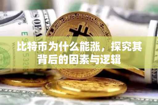 比特币为什么能涨，探究其背后的因素与逻辑