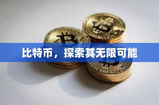 比特币，探索其无限可能