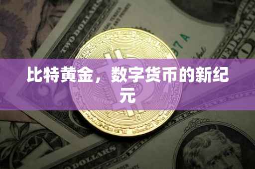 比特黄金，数字货币的新纪元