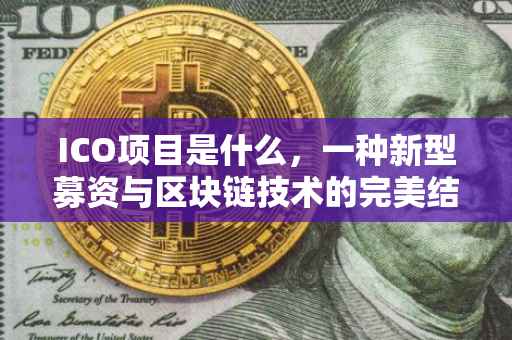 ICO项目是什么，一种新型募资与区块链技术的完美结合