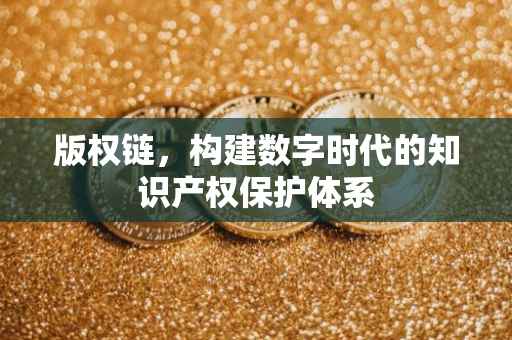 版权链，构建数字时代的知识产权保护体系