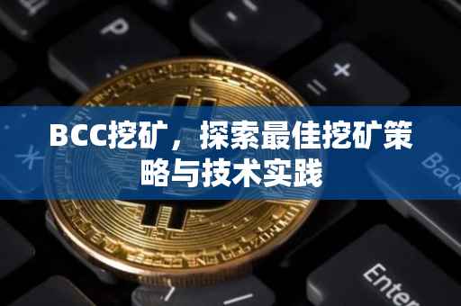 BCC挖矿，探索最佳挖矿策略与技术实践