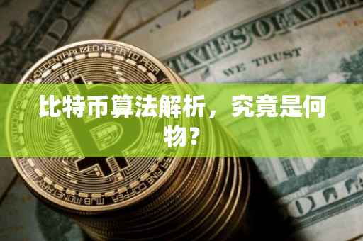 比特币算法解析，究竟是何物？