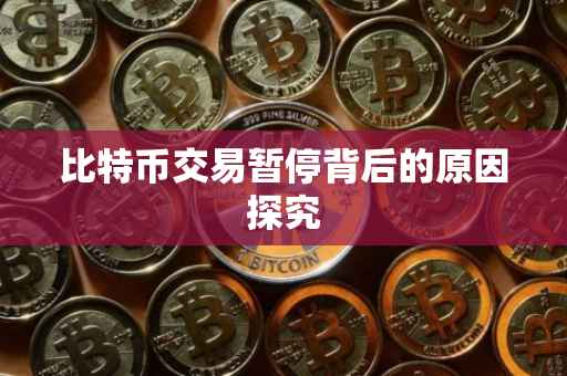 比特币交易暂停背后的原因探究