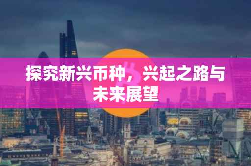 探究新兴币种，兴起之路与未来展望