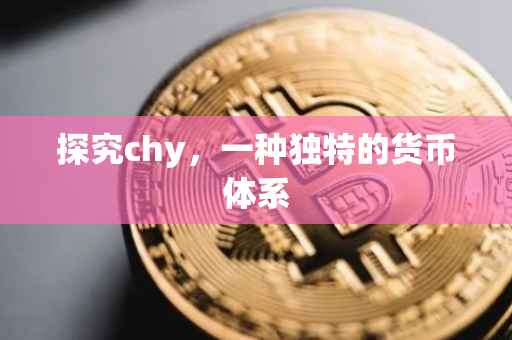 探究chy，一种独特的货币体系