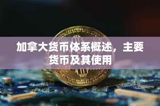 加拿大货币体系概述，主要货币及其使用