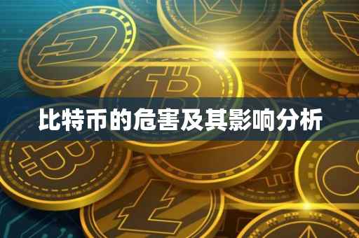 比特币的危害及其影响分析