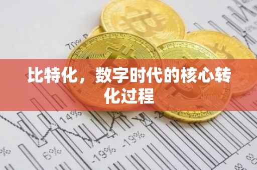 比特化，数字时代的核心转化过程