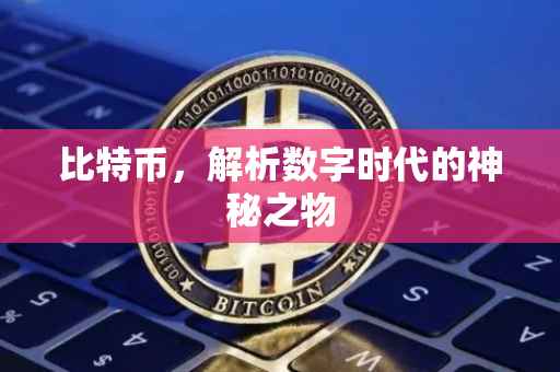 比特币，解析数字时代的神秘之物