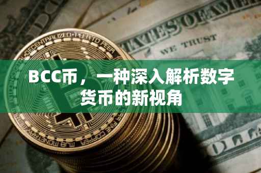 BCC币，一种深入解析数字货币的新视角