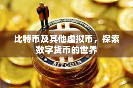 比特币及其他虚拟币，探索数字货币的世界