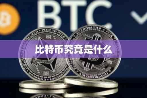 比特币究竟是什么