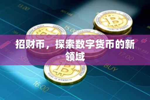 招财币，探索数字货币的新领域