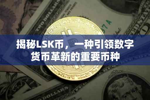 揭秘LSK币，一种引领数字货币革新的重要币种