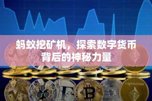 蚂蚁挖矿机，探索数字货币背后的神秘力量