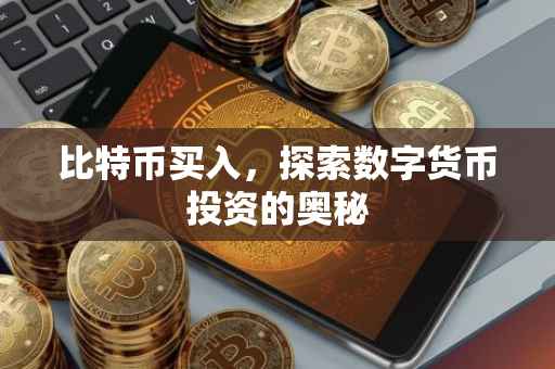 比特币买入，探索数字货币投资的奥秘