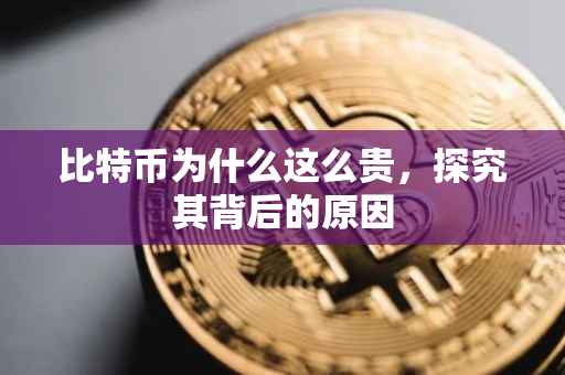 比特币为什么这么贵，探究其背后的原因