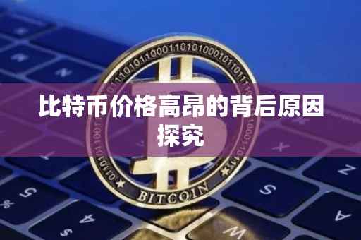 比特币价格高昂的背后原因探究