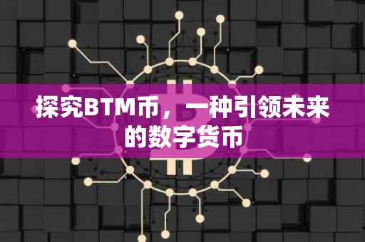 探究BTM币，一种引领未来的数字货币